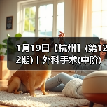 1月19日【杭州】(第122期)丨外科手术(中阶)实战班，2 - 辰飞雨新生家伴