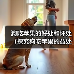 狗吃苹果的好处和坏处(探究狗吃苹果的益处和潜在风险)(图3) 狗吃苹果的好处和坏处(探究狗吃苹果的益处和潜在风险)(图3)
