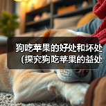 狗吃苹果的好处和坏处(探究狗吃苹果的益处和潜在风险)(图4) 狗吃苹果的好处和坏处(探究狗吃苹果的益处和潜在风险)(图4)