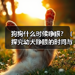 狗狗什么时候睁眼？（探究幼犬睁眼的时间与原因，） - 辰飞雨新生家伴