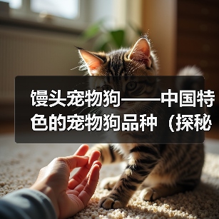 馒头宠物狗——中国特色的宠物狗品种（探秘馒头宠物狗的独特魅力及其养护要点）(图2)