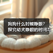 狗狗什么时候睁眼？（探究幼犬睁眼的时间与原因，） - 辰飞雨新生家伴