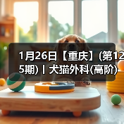 1月26日【重庆】(第125期)丨犬猫外科(高阶)班！含SU - 辰飞雨新生家伴