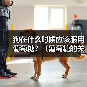 狗在什么时候应该服用葡萄糖?(葡萄糖的关键时刻和用途)(图3) 狗在什么时候应该服用葡萄糖?(葡萄糖的关键时刻和用途)(图3)