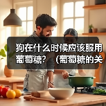 狗在什么时候应该服用葡萄糖?(葡萄糖的关键时刻和用途)(图4) 狗在什么时候应该服用葡萄糖?(葡萄糖的关键时刻和用途)(图4)