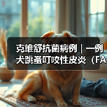 克维舒抗菌病例 | 一例犬跳蚤叮咬性皮炎