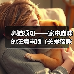 养猫须知——家中猫咪的注意事项（关爱猫咪