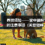 养猫须知——家中猫咪的注意事项(关爱猫咪,共创幸福家庭)(图3) 养猫须知——家中猫咪的注意事项(关爱猫咪,共创幸福家庭)(图3)