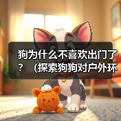 狗为什么不喜欢出门了？（探索狗狗对户外环境的心理转变和适应能力）(图2)