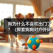 狗为什么不喜欢出门了？（探索狗狗对户外环