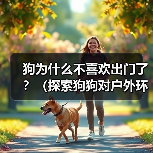 狗为什么不喜欢出门了？（探索狗狗对户外环境的心理转变和适应能力）(图4)