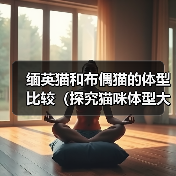 缅英猫和布偶猫的体型比较（探究猫咪体型大小对其品种特点的影响）(图2)