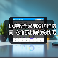 边境牧羊犬毛发护理指南（如何让你的宠物毛