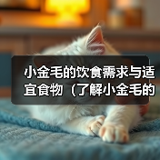 小金毛的饮食需求与适宜食物（了解小金毛的食物偏好和健康饮食习惯）(图3)