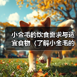 小金毛的饮食需求与适宜食物（了解小金毛的食物偏好和健康饮食习惯）(图4)