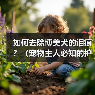 如何去除博美犬的泪痕？（宠物主人必知的护