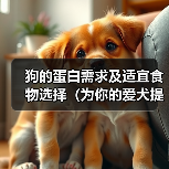 狗的蛋白需求及适宜食物选择(为你的爱犬提供全面均衡的蛋白质)(图4) 狗的蛋白需求及适宜食物选择(为你的爱犬提供全面均衡的蛋白质)(图4)