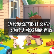 边牧发烧了吃什么药?(治疗边牧发烧的有效药物及注意事项)(图2) 边牧发烧了吃什么药?(治疗边牧发烧的有效药物及注意事项)(图2)