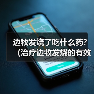 边牧发烧了吃什么药?(治疗边牧发烧的有效药物及注意事项)(图3) 边牧发烧了吃什么药?(治疗边牧发烧的有效药物及注意事项)(图3)