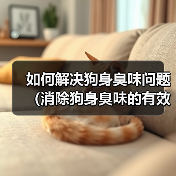 如何解决狗身臭味问题(消除狗身臭味的有效方法及注意事项)(图2) 如何解决狗身臭味问题(消除狗身臭味的有效方法及注意事项)(图2)