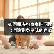 如何解决狗身臭味问题(消除狗身臭味的有效方法及注意事项)(图3) 如何解决狗身臭味问题(消除狗身臭味的有效方法及注意事项)(图3)