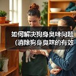 如何解决狗身臭味问题（消除狗身臭味的有效方法及注意事项） - 辰飞雨新生家伴