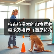 拉布拉多犬的肉食营养需求及推荐（满足拉布拉多犬营养需求的肉类 - 辰飞雨新生家伴