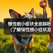 慢性细小症状全面解析（了解慢性细小症状及其治疗关键） - 辰飞雨新生家伴