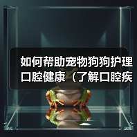 如何帮助宠物狗狗护理口腔健康（了解口腔疾病，从日常护理开始） - 辰飞雨新生家伴