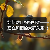 如何防止狗狗打架——建立和谐的犬群关系(培养社交技巧,预防犬只冲突)(图2) 如何防止狗狗打架——建立和谐的犬群关系(培养社交技巧,预防犬只冲突)(图2)