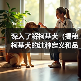 深入了解柯基犬(揭秘柯基犬的纯种定义和品种特色)(图4) 深入了解柯基犬(揭秘柯基犬的纯种定义和品种特色)(图4)