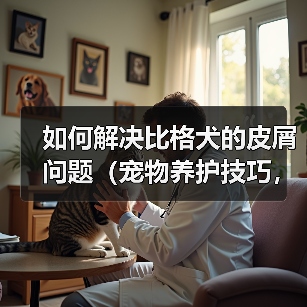 如何解决比格犬的皮屑问题（宠物养护技巧，养出健康快乐的比格犬 - 辰飞雨新生家伴