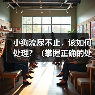小狗流尿不止，该如何处理？（掌握正确的处理方法，让小狗健康成 - 辰飞雨新生家伴