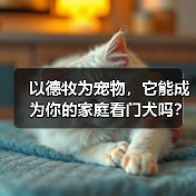 以德牧为宠物，它能成为你的家庭看门犬吗？（了解德牧的性格特点 - 辰飞雨新生家伴