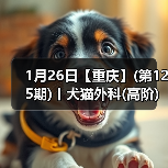 1月26日【重庆】(第125期)丨犬猫外