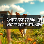 为何萨摩不爱玩球（探寻萨摩独特的游戏偏好）(图3)