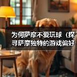 为何萨摩不爱玩球（探寻萨摩独特的游戏偏好）(图4)