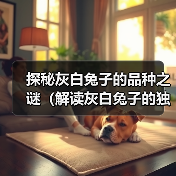 探秘灰白兔子的品种之谜(解读灰白兔子的独特魅力)(图2) 探秘灰白兔子的品种之谜(解读灰白兔子的独特魅力)(图2)