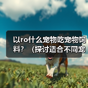 以ro什么宠物吃宠物饲料?(探讨适合不同宠物食用宠物饲料的优势和注意事项)(图4) 以ro什么宠物吃宠物饲料?(探讨适合不同宠物食用宠物饲料的优势和注意事项)(图4)
