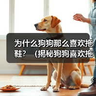 为什么狗狗那么喜欢拖鞋?(揭秘狗狗喜欢拖鞋的原因及解决方法)(图3) 为什么狗狗那么喜欢拖鞋?(揭秘狗狗喜欢拖鞋的原因及解决方法)(图3)