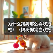 为什么狗狗那么喜欢拖鞋?(揭秘狗狗喜欢拖鞋的原因及解决方法)(图4) 为什么狗狗那么喜欢拖鞋?(揭秘狗狗喜欢拖鞋的原因及解决方法)(图4)