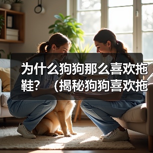 为什么狗狗那么喜欢拖鞋?(揭秘狗狗喜欢拖鞋的原因及解决方法)(图1) 为什么狗狗那么喜欢拖鞋?(揭秘狗狗喜欢拖鞋的原因及解决方法)(图1)