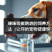 喋喋吸蜜鹦鹉的饲养方法（让你的宠物健康快乐生活） - 辰飞雨新生家伴