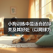 小狗训练中最适合的球类及其好处（以网球为例，揭秘小狗训练中最 - 辰飞雨新生家伴