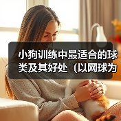小狗训练中最适合的球类及其好处(以网球为例,揭秘小狗训练中最佳球类选择和方法)(图3) 小狗训练中最适合的球类及其好处(以网球为例,揭秘小狗训练中最佳球类选择和方法)(图3)