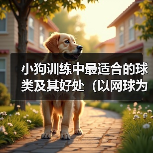 小狗训练中最适合的球类及其好处(以网球为例,揭秘小狗训练中最佳球类选择和方法)(图2) 小狗训练中最适合的球类及其好处(以网球为例,揭秘小狗训练中最佳球类选择和方法)(图2)