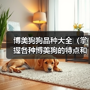 博美狗狗品种大全（掌握各种博美狗的特点和习性，选一只最适合你的小伙伴）(图3)