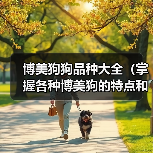博美狗狗品种大全（掌握各种博美狗的特点和习性，选一只最适合你 - 辰飞雨新生家伴