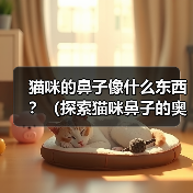 猫咪的鼻子像什么东西?(探索猫咪鼻子的奥秘,揭示其神奇相似之处)(图3) 猫咪的鼻子像什么东西?(探索猫咪鼻子的奥秘,揭示其神奇相似之处)(图3)