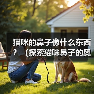 猫咪的鼻子像什么东西?(探索猫咪鼻子的奥秘,揭示其神奇相似之处)(图4) 猫咪的鼻子像什么东西?(探索猫咪鼻子的奥秘,揭示其神奇相似之处)(图4)